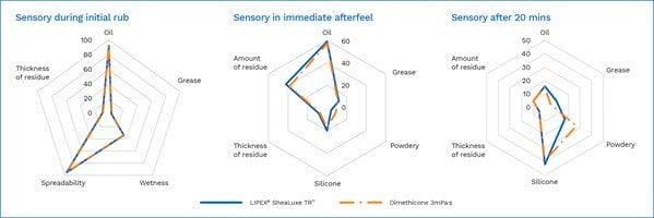 amended-shealuxe-sensory-graphs-w-frame-3000x1000