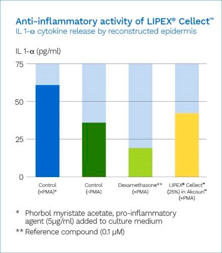 anti-inflammatory-activity-of-lipex-cellect-72-px