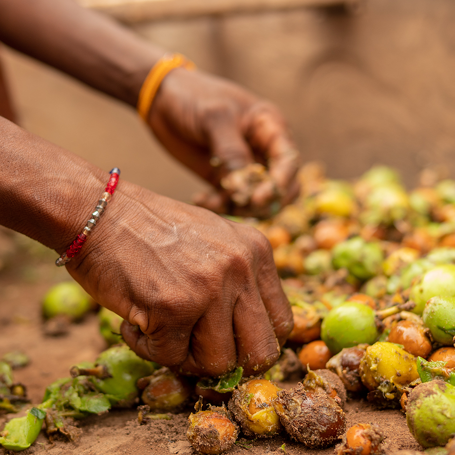 In-cos 2026 presentation