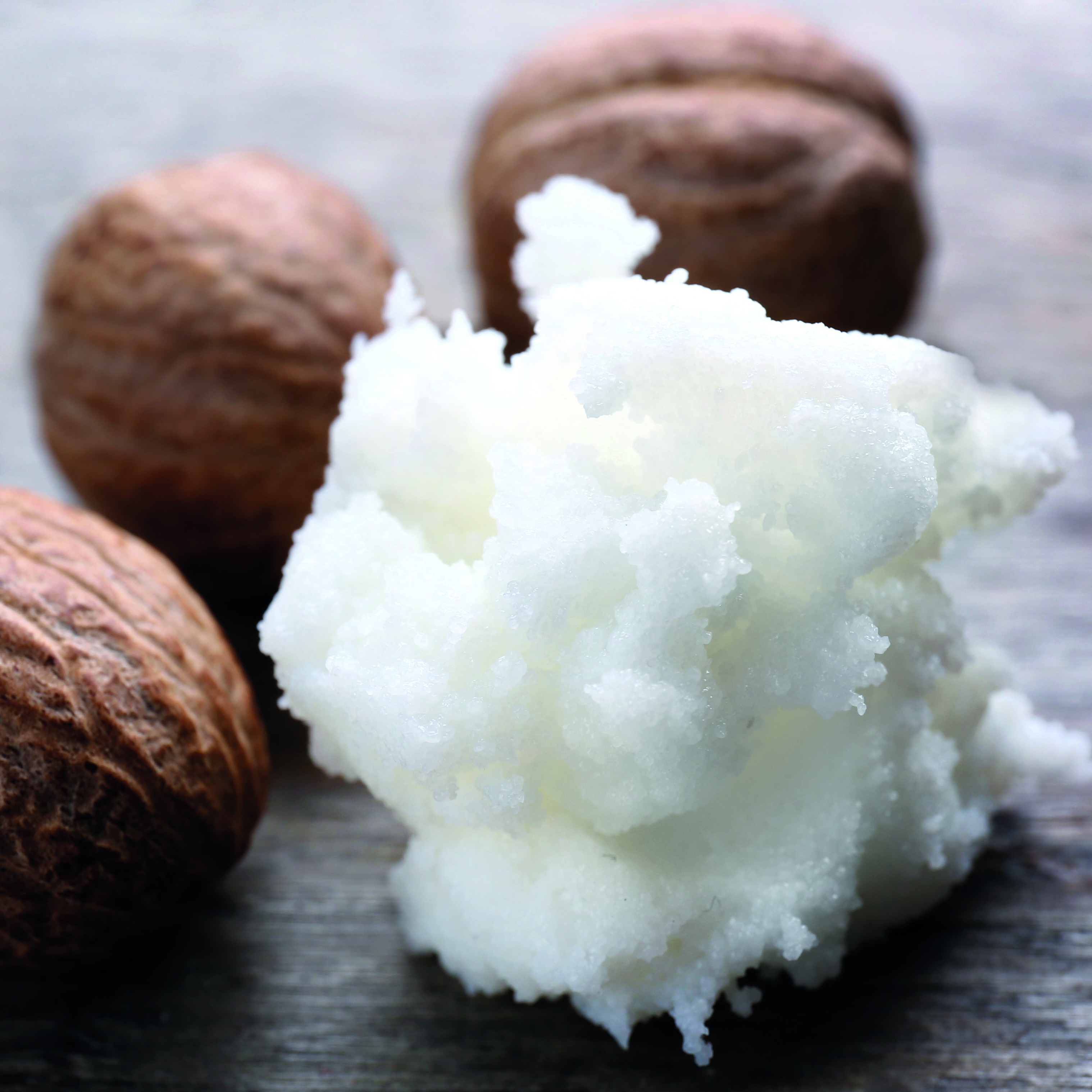 SheaKernelsButter_CMYK-1